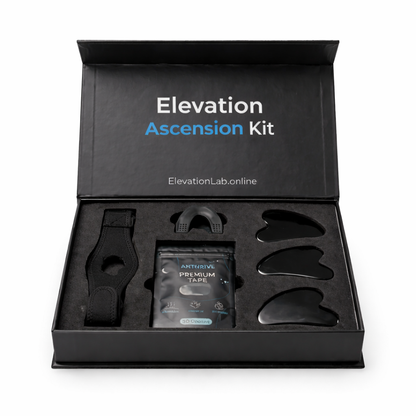 Elevation Posture Brace